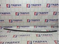 Молдинг крыши левый Hyundai Grandeur (TG)