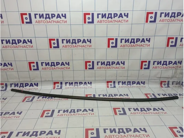 Молдинг крыши левый Hyundai Grandeur (TG)