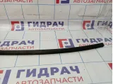 Молдинг крыши левый Hyundai Grandeur (TG)