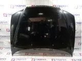 Капот Hyundai Grandeur (TG)