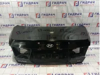 Крышка багажника Hyundai Grandeur (TG)