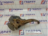 Кулак поворотный передний правый Hyundai Grandeur (TG) 51716-3K150