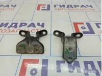 Петли двери задней левой Hyundai Grandeur (TG)