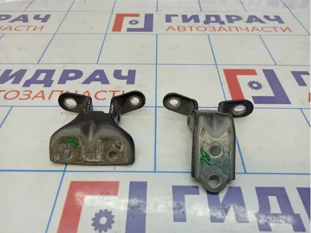 Петли двери задней левой Hyundai Grandeur (TG)