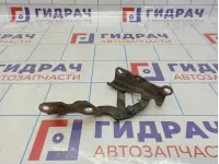 Петля капота левая Hyundai Grandeur (TG) 79110-3K000