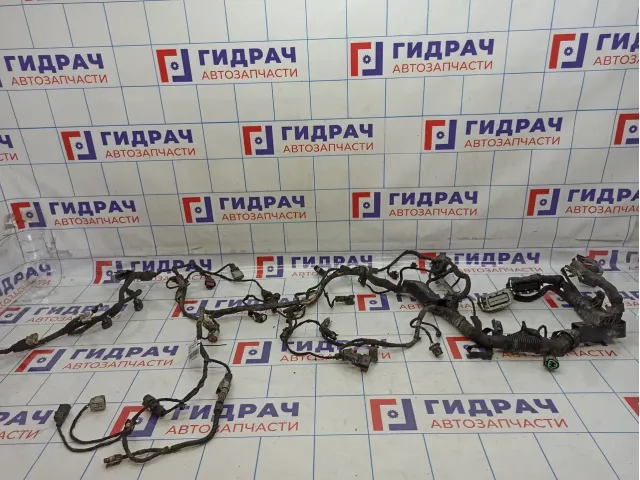 Проводка двигателя Hyundai Grandeur (TG) 91410-3L031