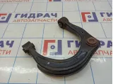 Рычаг передний верхний левый Hyundai Grandeur (TG) 54410-3F601