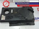 Накладка двигателя декоративная Hyundai HD78 2921045501.