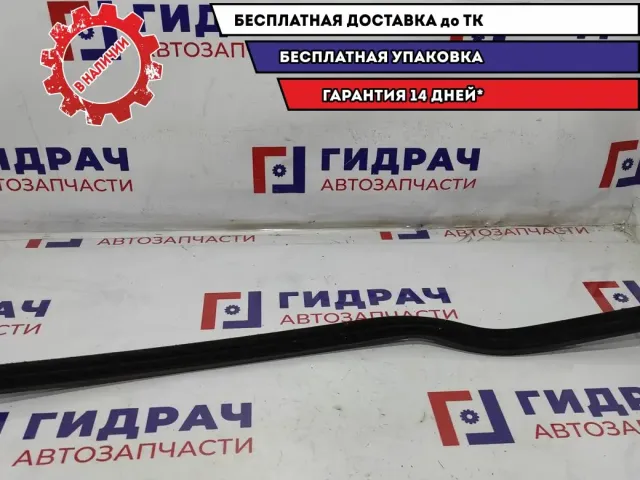 Накладка (уплотнитель) стекла правого Hyundai HD78 .