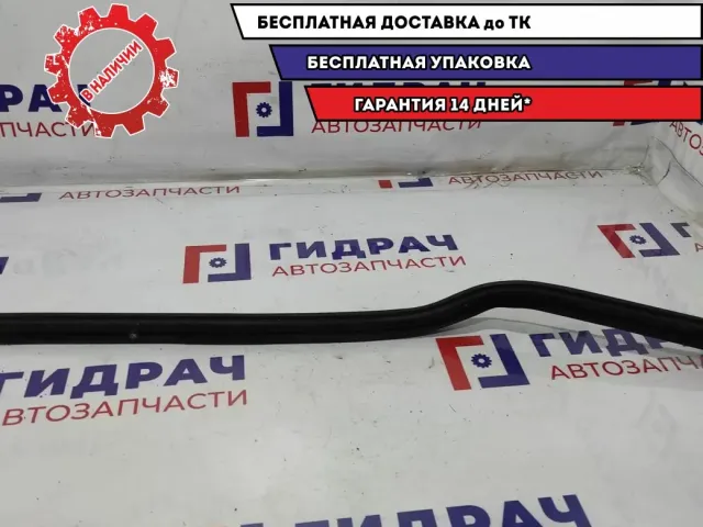 Накладка (уплотнитель) стекла левого Hyundai HD78 .