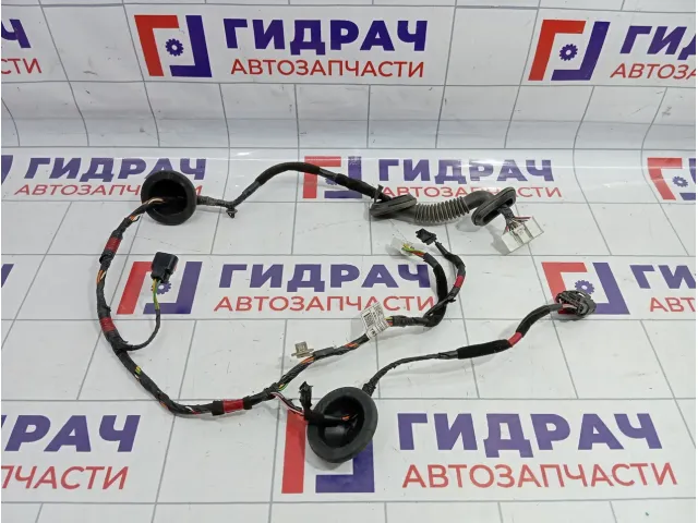 Проводка двери задней левой Hyundai i30 (GD) 91650A6020