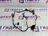 Проводка двери задней правой Hyundai i30 (GD) 91660A6020