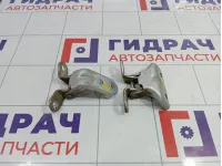 Петли двери задней левой Hyundai i30 (GD)