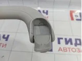 Ручка внутренняя потолочная Hyundai i30 (GD)