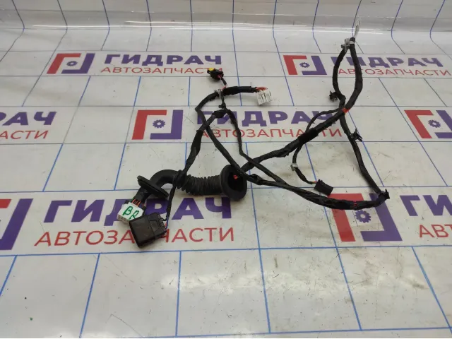 Проводка двери задней правой Hyundai ix 35 91660-2Y040.