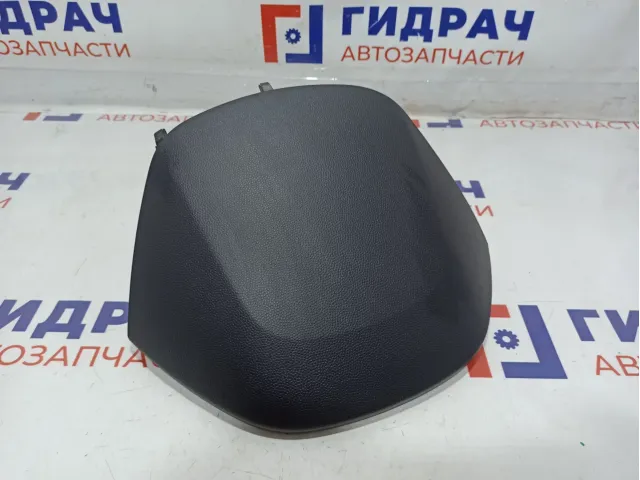 Накладка декоративная Hyundai ix 35 848302S0009P.