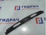 Накладка двери багажника Hyundai ix 35 87372-2S010. Под фонари подсветки номера.