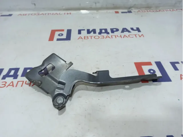 Петля капота правая Hyundai ix 35 79120-2S000.