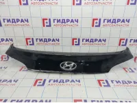 Накладка двери багажника Hyundai ix35 1873712S000