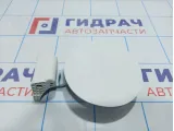 Лючок бензобака Hyundai ix35 169510-2S000