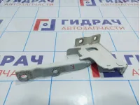 Петля капота правая Hyundai ix35 179120-2S000