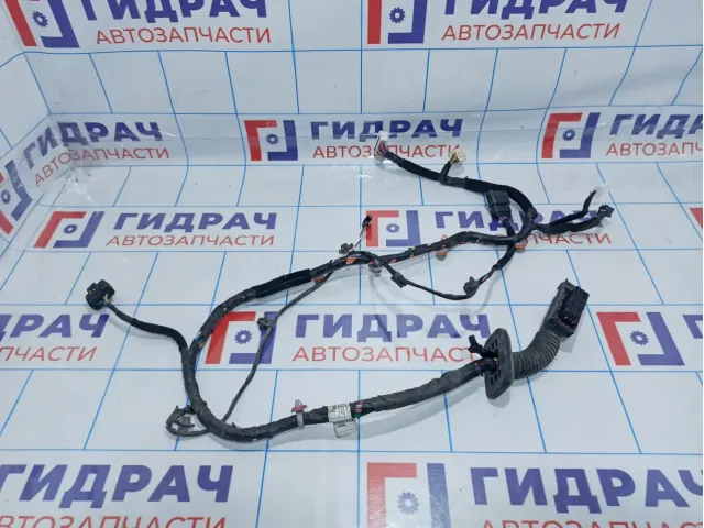 Проводка двери передней левой Hyundai ix35 191600-2Y100