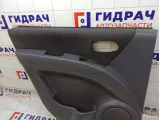 Обшивка двери задней левой Hyundai Matrix 8330117011WE