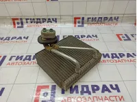 Испаритель кондиционера Hyundai Matrix 9713917050