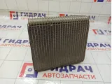 Испаритель кондиционера Hyundai Matrix 9713917050