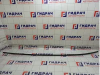 Молдинг Hyundai Matrix 8723117000