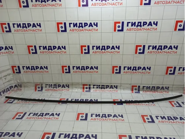 Молдинг Hyundai Matrix 8723117000