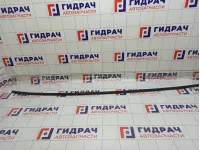 Молдинг Hyundai Matrix 8724117000