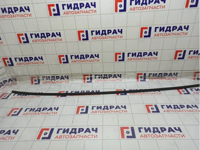 Молдинг Hyundai Matrix 8724117000