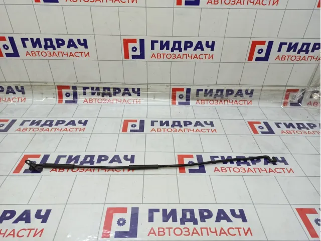Держатель капота Hyundai Matrix 8117017010