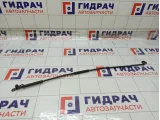 Держатель капота Hyundai Matrix 8117017010