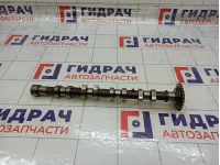 Распредвал выпускной Hyundai Matrix 2420026004