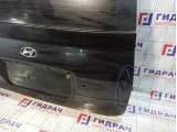 Дверь багажника Hyundai Matrix 7370017131