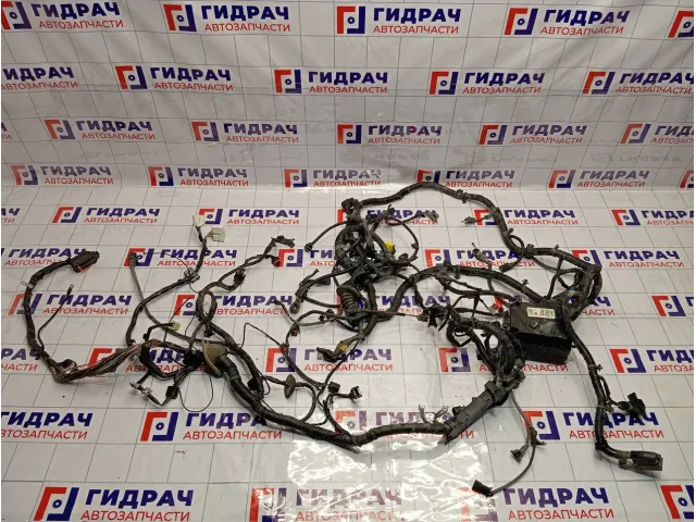 Проводка подкапотная Hyundai Matrix (FC) 91201-10040