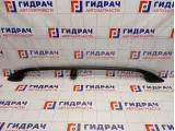 Рейлинг правый Hyundai Matrix (FC) 87274-17000