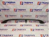 Рейлинг правый Hyundai Matrix (FC) 87274-17000