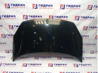 Капот Hyundai Matrix (FC) 66400-10020