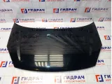 Капот Hyundai Matrix (FC) 66400-10020