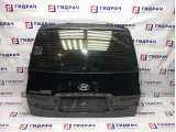 Дверь багажника Hyundai Matrix (FC) 73700-17131