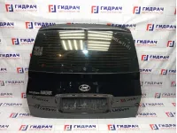 Дверь багажника Hyundai Matrix (FC) 73700-17131