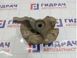 Кулак поворотный передний левый Hyundai Matrix (FC) 51715-17100