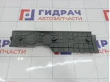 Крышка двигателя декоративная Hyundai Matrix (FC) 22405-26610