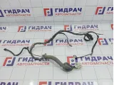 Проводка двери передней левой Hyundai Matrix (FC) 91800-10020