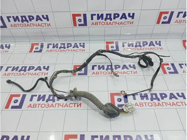 Проводка двери передней левой Hyundai Matrix (FC) 91800-10020