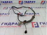 Проводка двери задней левой Hyundai Matrix 9183017020