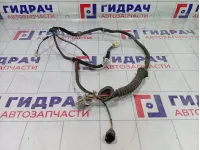 Проводка двери задней левой Hyundai Matrix 9183017020